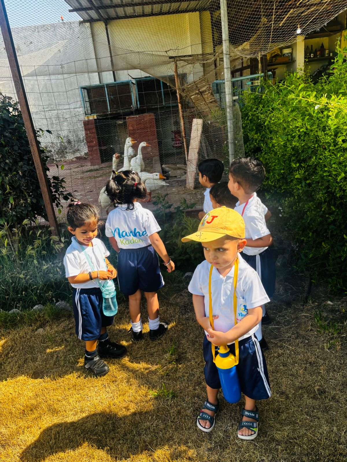 Primary Classroom Learning